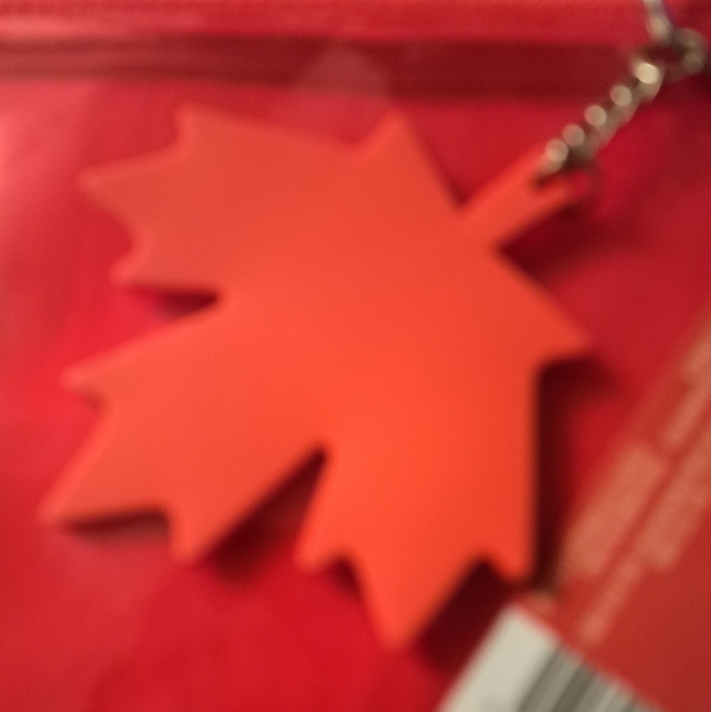 Wee Case With Calgary Key Ring, Maple Leaf Closure On Zippered See Thru Bag. - Picture 3 of 3